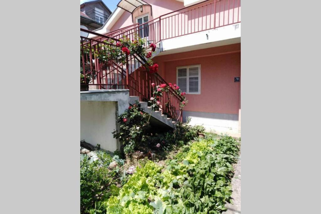 Apartman Danica Herceg Novi Buitenkant foto